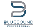 Bluesound Professional